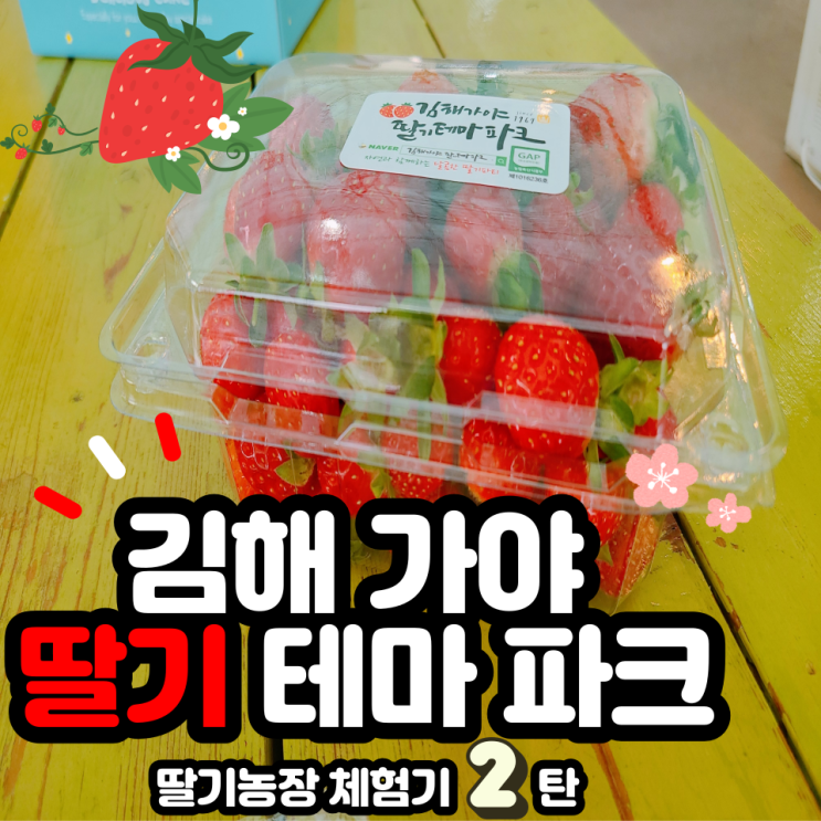 [부산 아이와 가볼만한 곳] 김해 가야 딸기 테마파크 2탄...