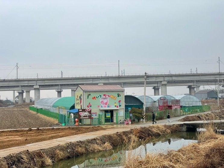 부산 근교 김해에서 딸기 따기... 곳 - "김해 가야 딸기 테마파크...