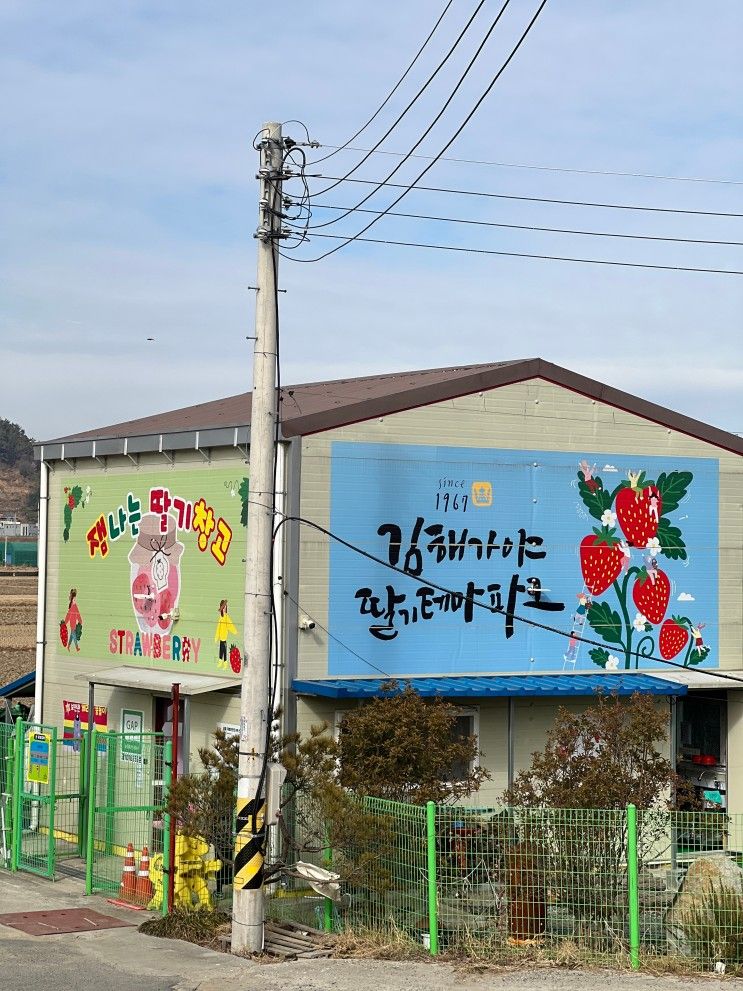 30분 순삭 가능한 부산 인근 딸기체험 김해가야딸기테마파크