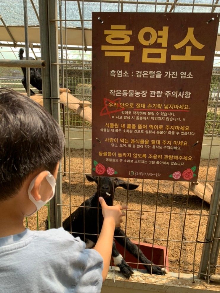 경기광주 퇴촌 율봄식물원 아이와 가볼만한곳