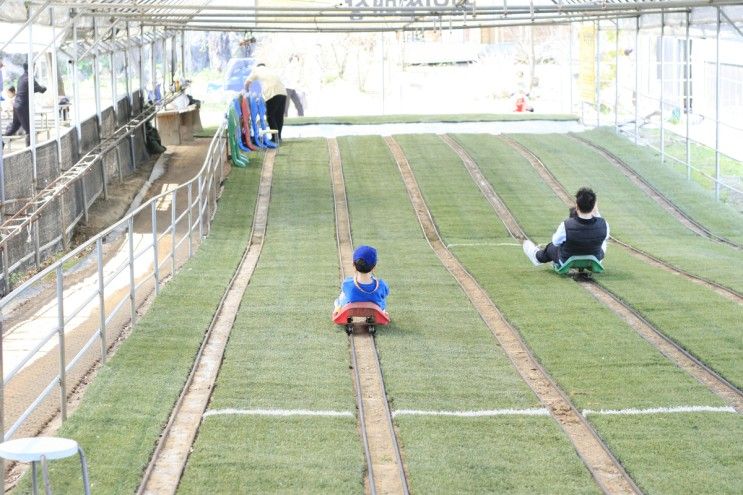 율봄식물원 경기광주 아이와 가볼만한곳