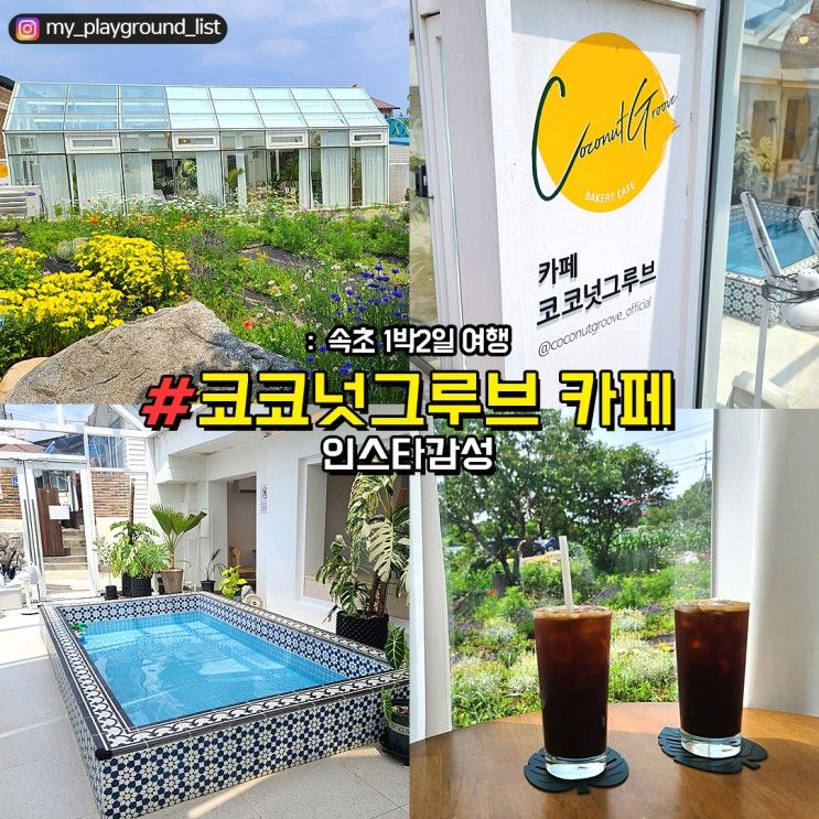 속초 1박2일 먹방여행 코코넛그루브카페 인스타감성카페...