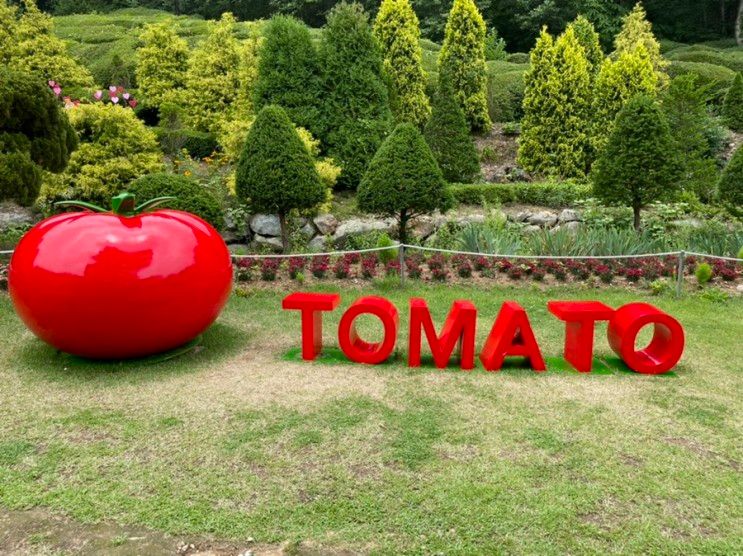 아이와 다양한 토마토 체험할수 있는곳,경기 광주 율봄식물원