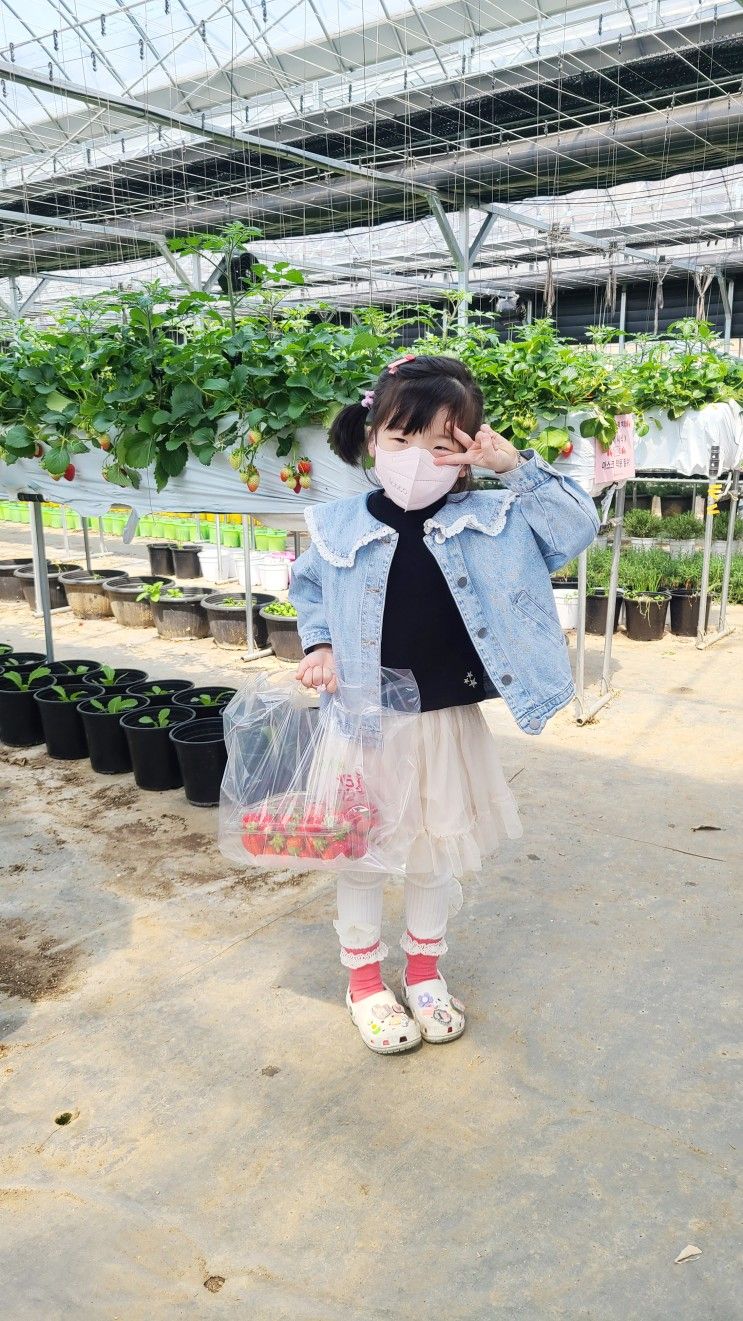 광주 율봄식물원 딸기체험 자연 즐기기 아이와 가볼만한곳 추천