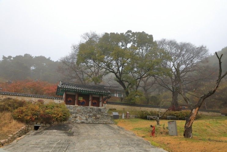 평택시 - 진위향교 대성전, 삼봉집 목판, 안재홍 생가