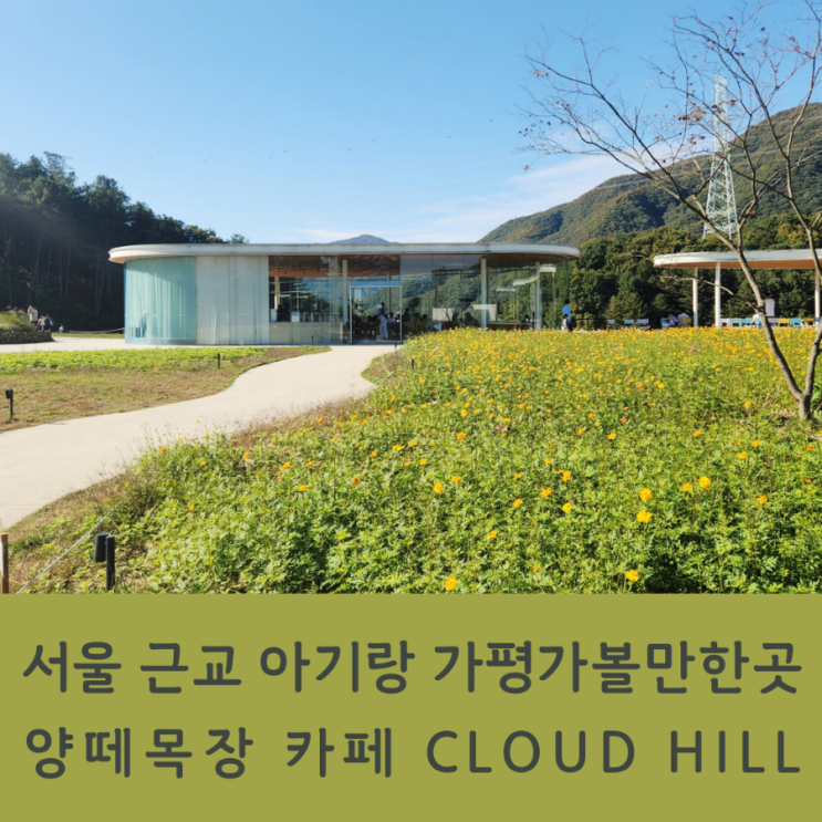 서울 근교 아기랑 가평가볼만한곳 양떼목장 카페 CLOUD HILL(클라우드힐)