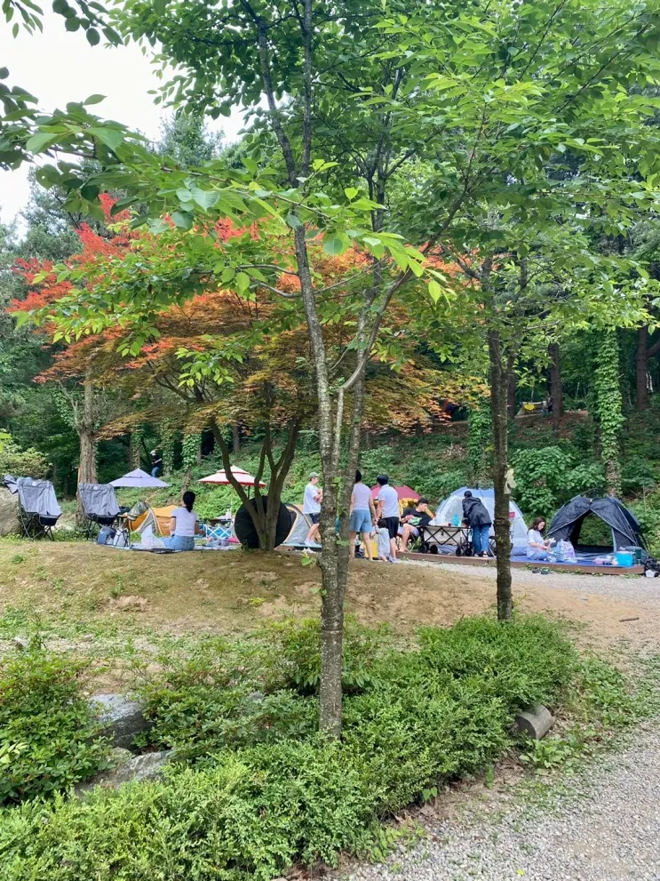 용인 포시즌체험농장, 용인 동천자연식물원