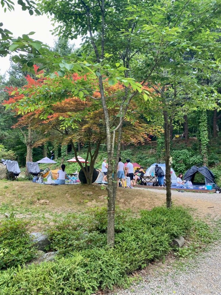 용인 포시즌체험농장, 용인 동천자연식물원