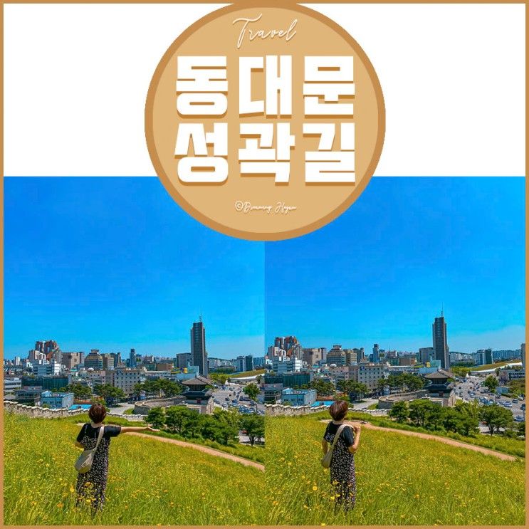 서울 산책로 금계국 스폿 동대문 성곽길 흥인지문공원