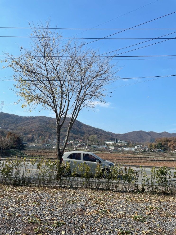 용인 처인구 브런치카페) 사암그레이커피 브런치 먹으러 총총