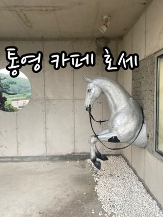 통영 죽림 애견동반카페 호세