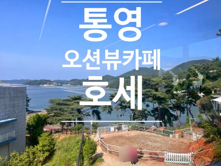 오션뷰가 너무 예쁜 통영 [호세] 카페 추천!! 말에게 당근주기...