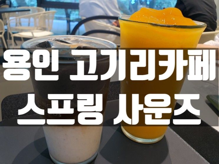 용인 고기리 베이커리 카페 추천 스프링 사운즈