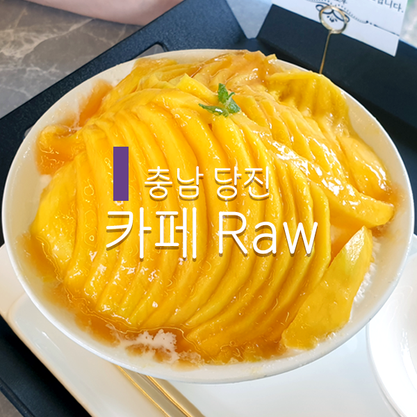 충남 당진: 애플망고 빙수 맛집 ‘카페로우’ 반려동물과 아이...