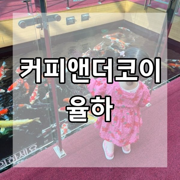 [맛집] 김해 율하 커피앤더코이: 드디어!!드디어!! 잉어카페가!!
