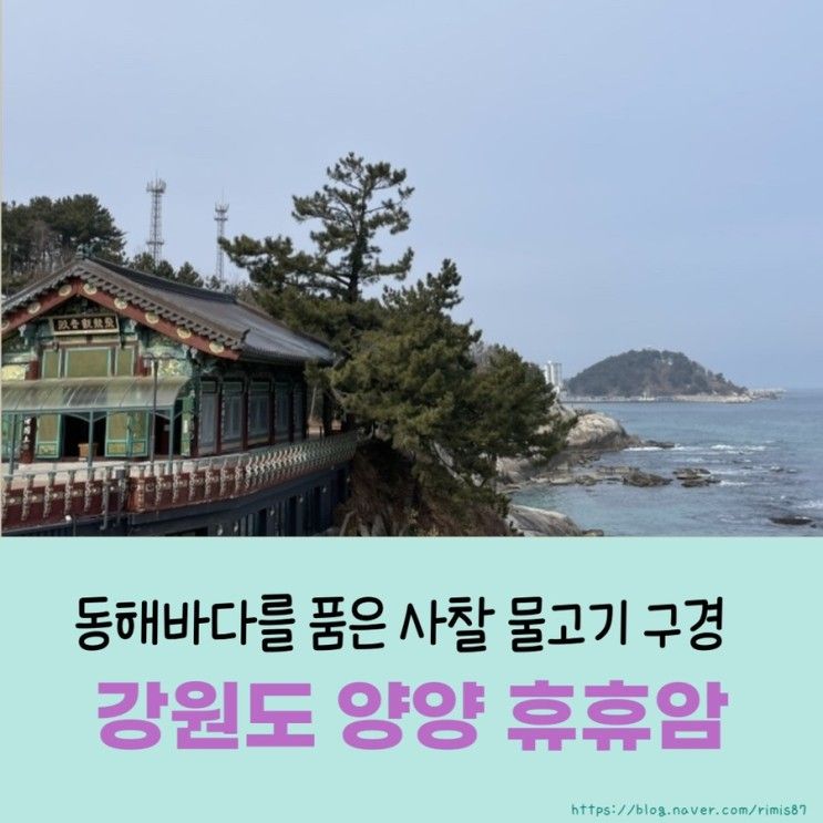 추천 바다를 한눈에 담은 사찰 물고기 방생 주차무료 - 휴휴암