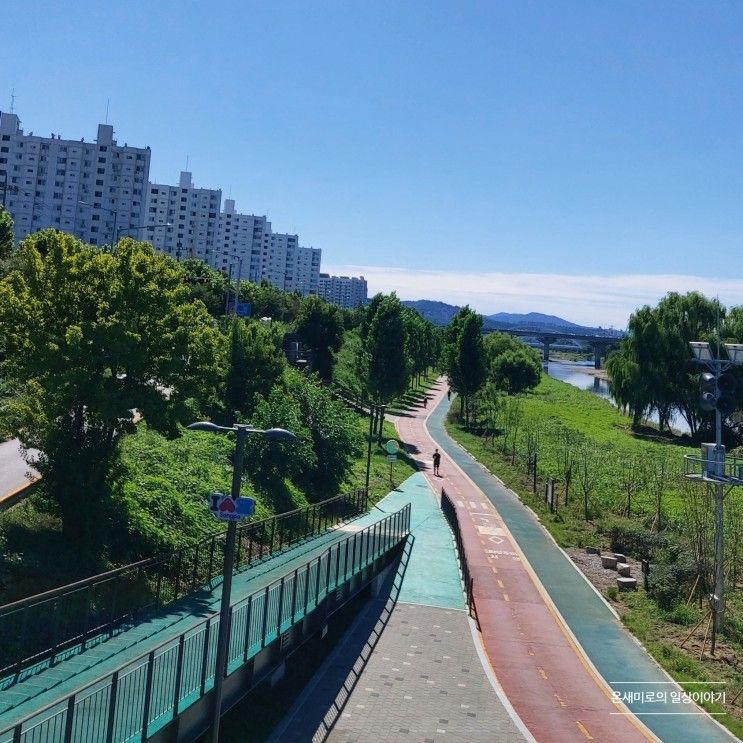 토요일 일상, 주말 필라테스 & 송파 둘레길 탄천 일부 구간 걷기