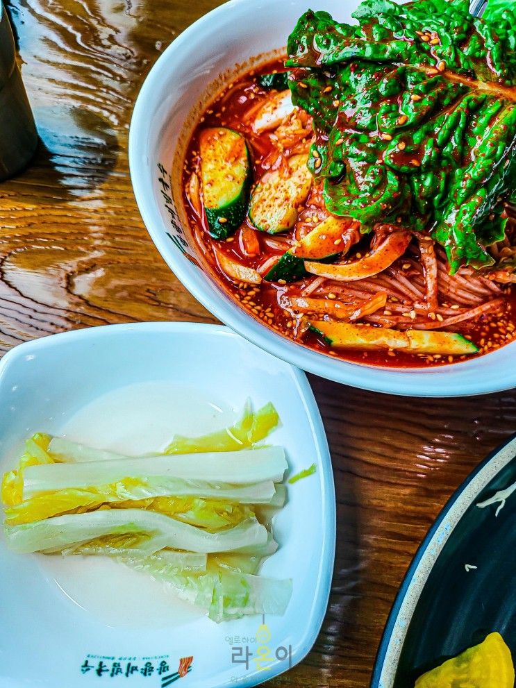 의정부 민락동 국수맛집 망향비빔국수 민락점