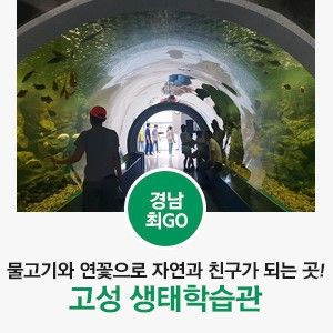 [고성 가볼만한곳 / 경남 연꽃... 친구가 되는 곳! 고성 생태학습관