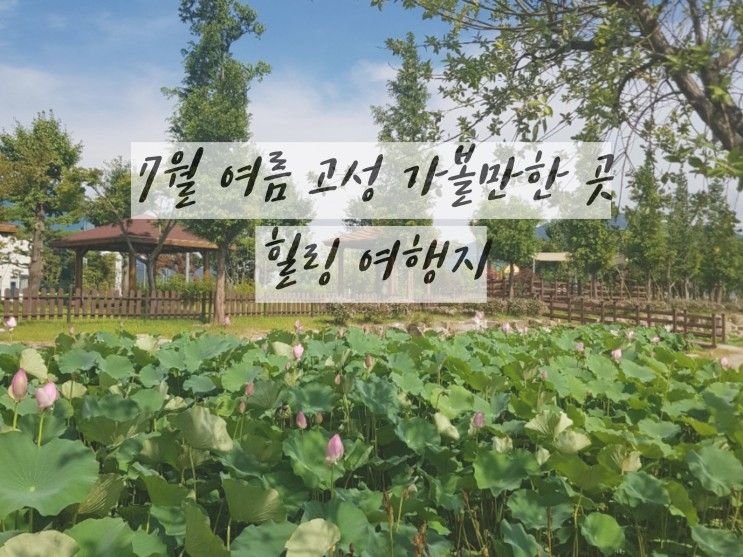 [여름 고성 가볼만한 곳] 연꽃을 볼 수 있는 고성생태학습관...