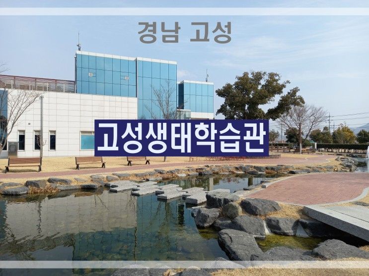 [ 경남 고성 여행 ] 아담한 아쿠아리움이 있는 고성 생태학습관