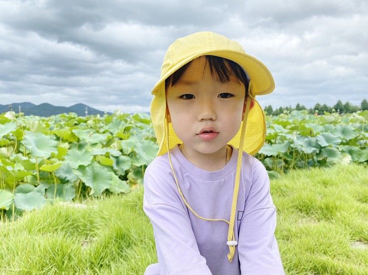 경남 고성 아이랑 고성생태학습관 연꽃 자연관찰, 아기랑갈만한곳