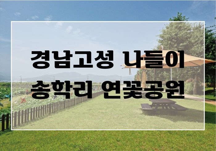 경남고성 당일치기 나들이 송학리 고성생태학습관 연꽃공원