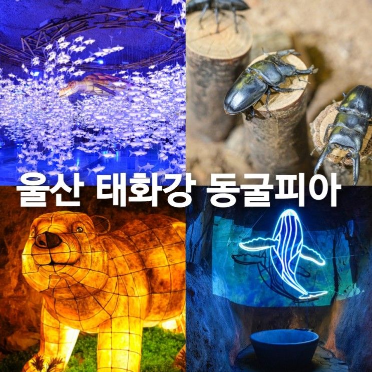 울산 태화강 동굴피아 놀거리 체험 새롭게