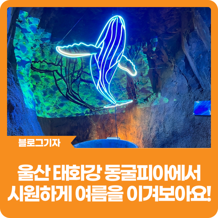 [블로그 기자] 울산 태화강 동굴피아에서 시원하게 여름을...