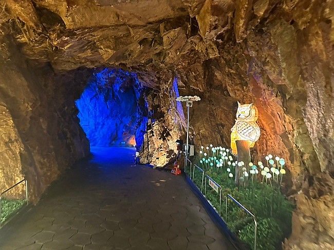 무더운 여름 방문하기 좋은 즐길거리 가득한 태화강 동굴피아