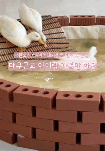 다양한동물이 있는 실내동물원 구미 산동 애니멀랜드