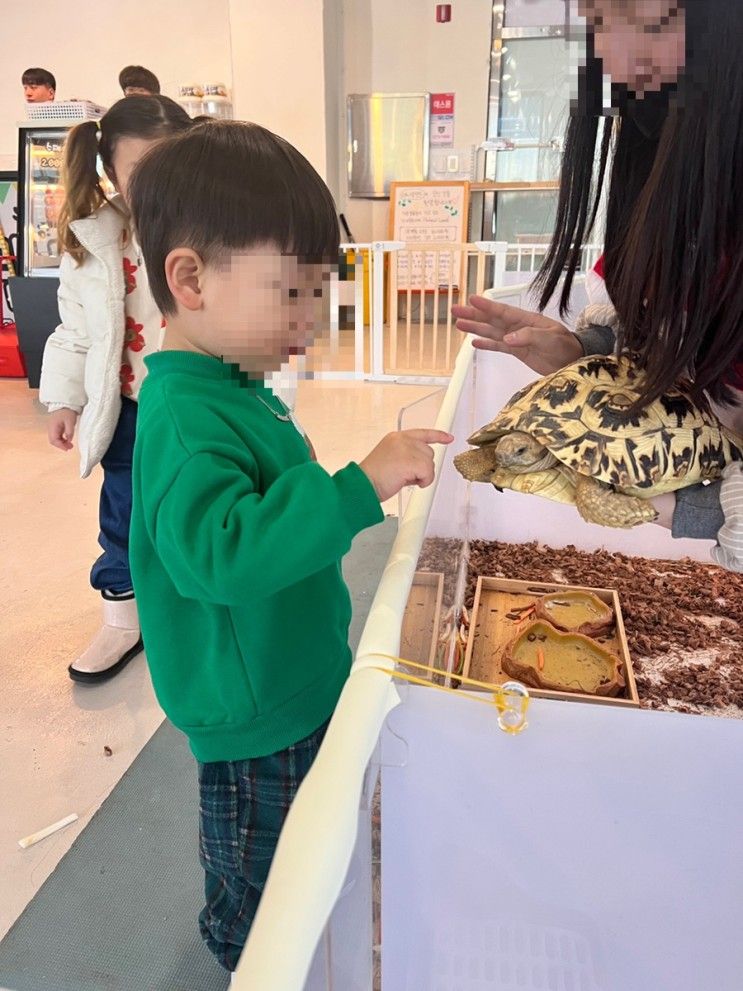 [구미]산동 애니멀랜드 /햄토리세상 / 구미 아이랑 갈 곳 / 구미...