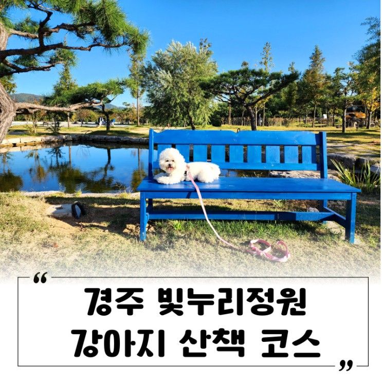 경주 강아지 산책하기 좋은 빛누리정원 (+주차 팁)