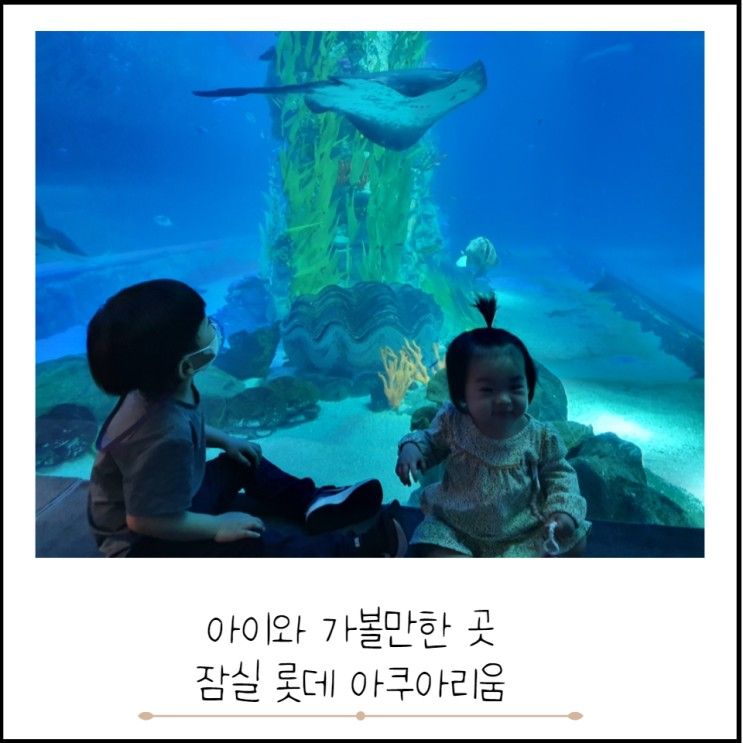 [서울]아이와 가볼만한 곳 잠실 롯데월드 아쿠아리움 (할인정보)