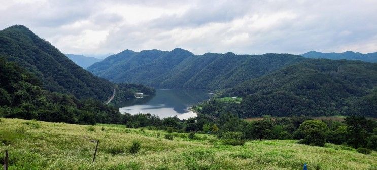 7만평 초지와 춘천호 배경 포토존이 멋진 춘천 해피초원목장