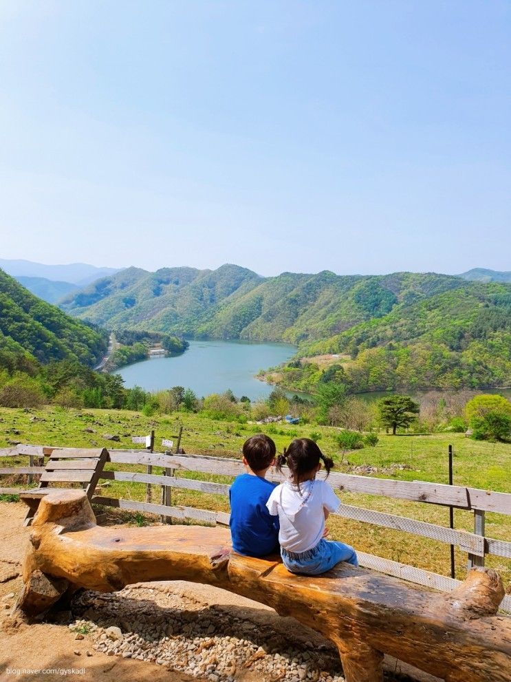 춘천 해피초원목장 입장료 강원도 한국의 스위스 명소