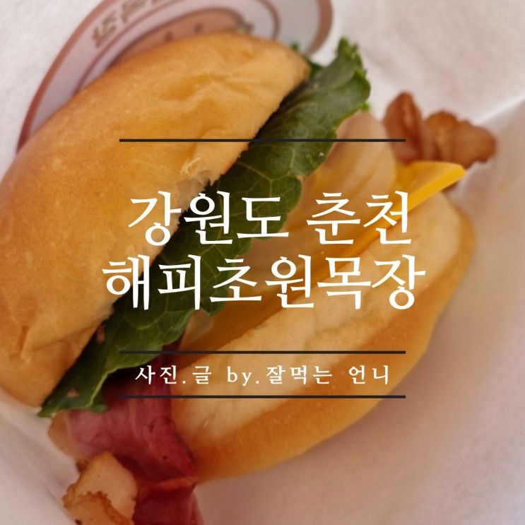 [춘천 해피초원목장 맛집] 수제한우버거 가격이상의 맛