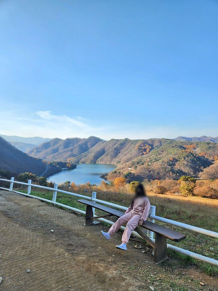 춘천 가볼만한곳 아이들과 양 목장체험 해피초원목장 포토존까지!