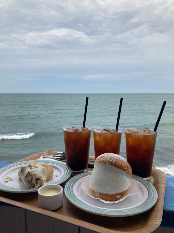 애견동반카페 및 바다가 보이는  부산 기장 카페 하바나