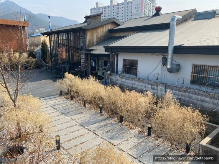 [사천 애견동반 카페] 디저트, 커피 맛집 '카페 정미소'