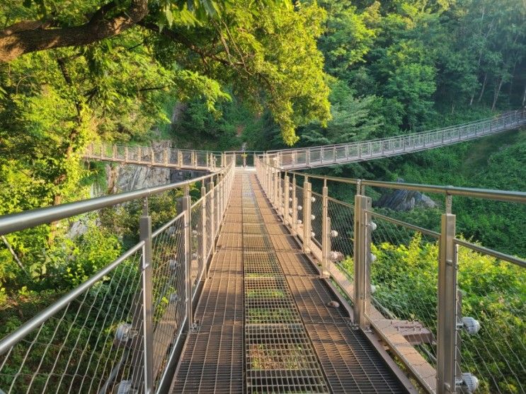 산책 코스로 추천하는 광명 도덕산 출렁다리 & 유아숲체험장