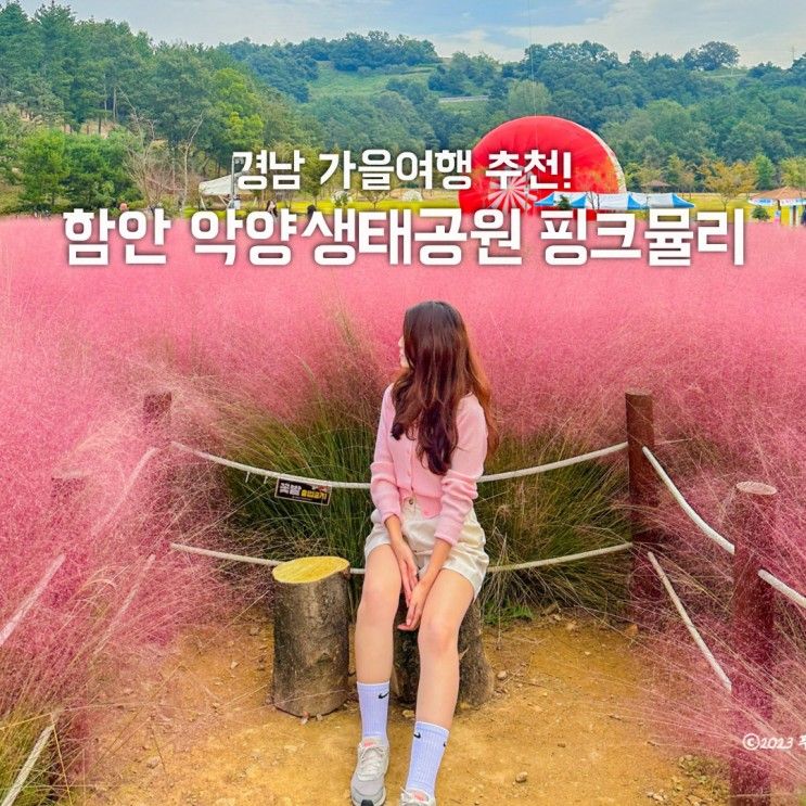 함안 핑크뮬리 인생샷 가득 남긴 악양생태공원 경남가을여행지...