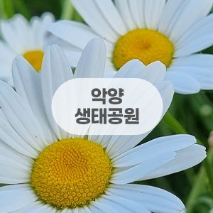 경남 함안 악양생태공원 아이랑 나들이♥