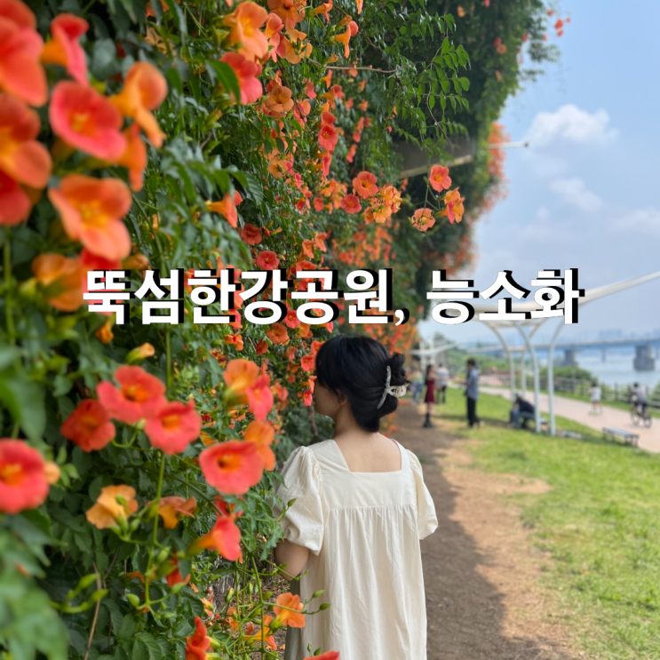 서울 뚝섬한강공원 능소화 폭포 위치, 주차장