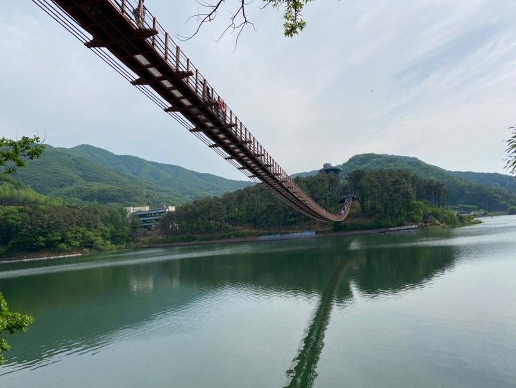 어버이날 부모님과 아이랑 파주 마장호수 출렁다리 나들이 후기