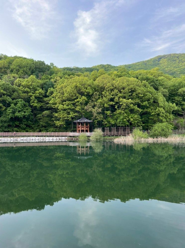 파주 마장호수 출렁다리 이용시간, 서울근교 데이트 코스, 걷기...