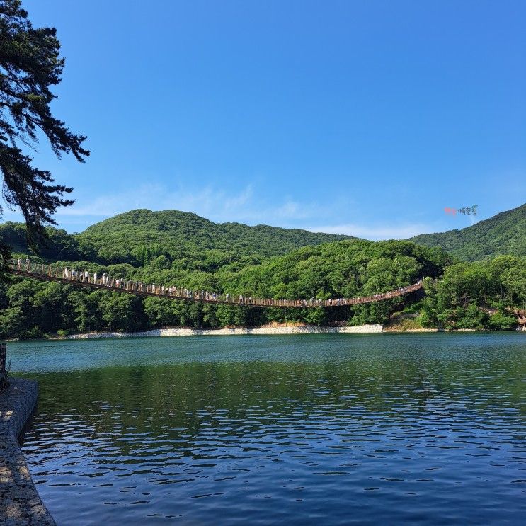 파주 가볼만한곳 마장호수 출렁다리 (주차장 요금과 추천 둘레길)