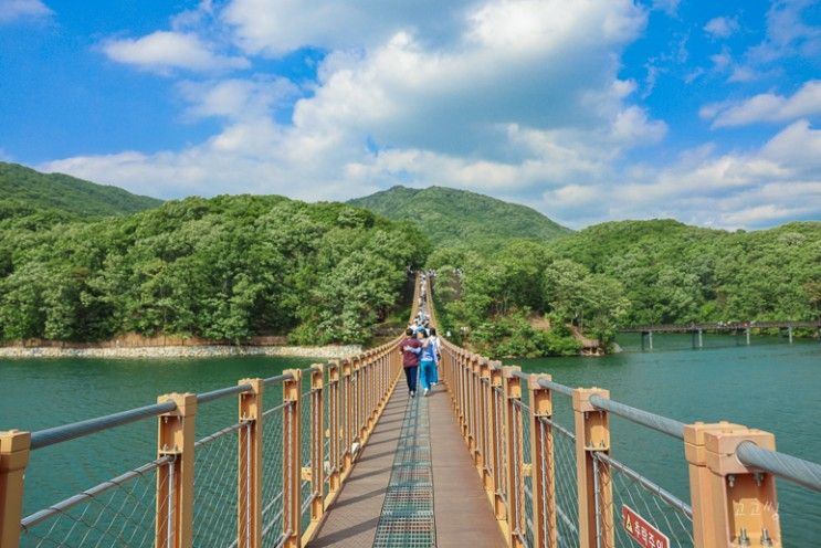 서울근교 당일치기 여행 파주 마장호수 출렁다리 주차장 정보