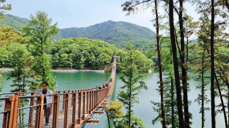 파주/양주 가볼만한 곳, 마장호수 출렁다리 & 오랑주리 까페