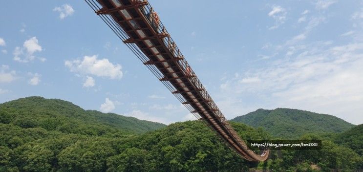 경기 파주 마장호수 둘레길. 마장호수 출렁다리